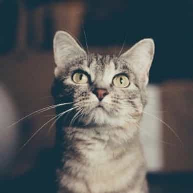 1712588982760.webp